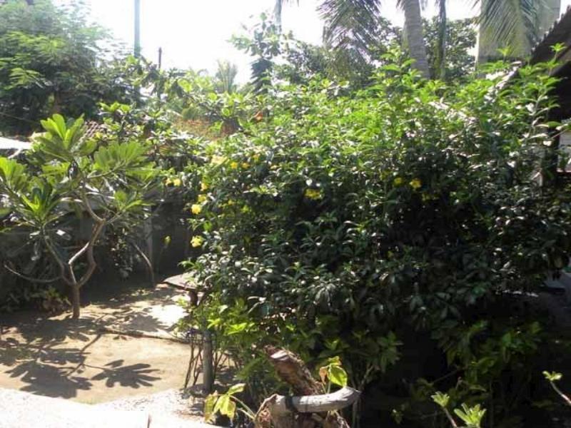 Malino Homestay Gili Trawangan Kültér fotó